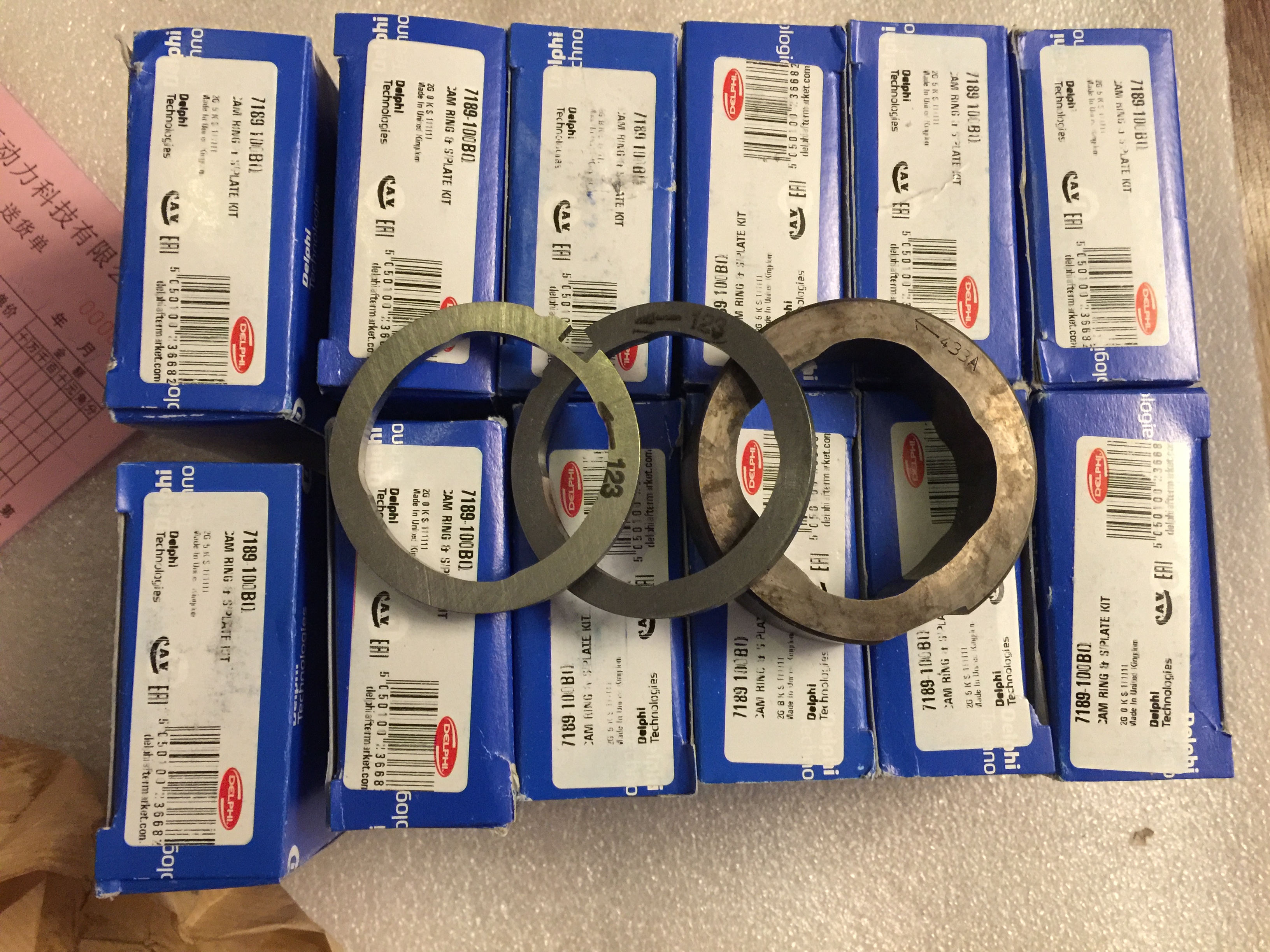 DELPHI Cam Ring Assembly 7189-100BQ